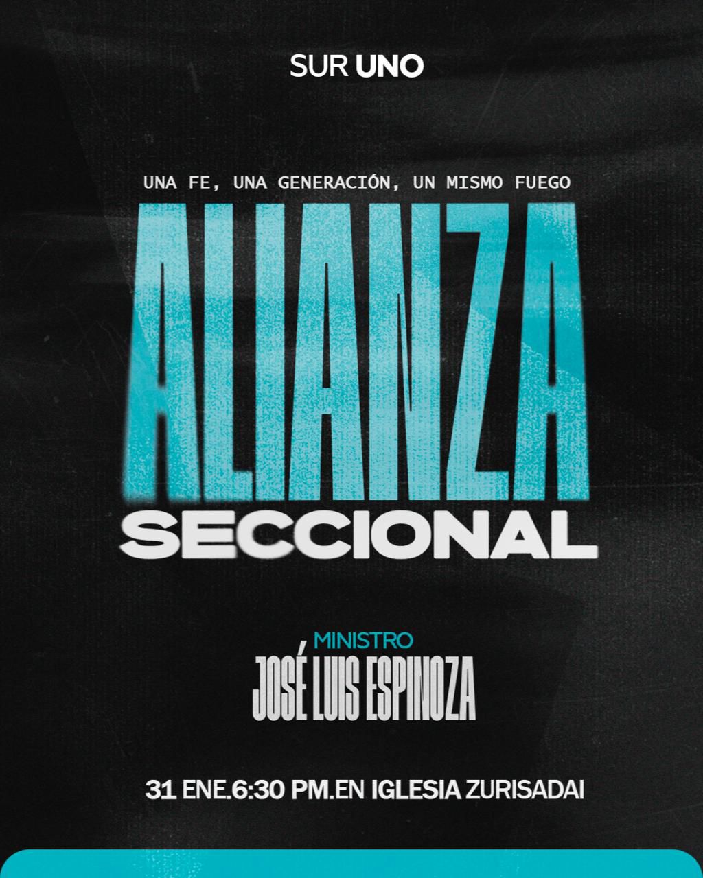 Flyer Alianza Seccional Sur